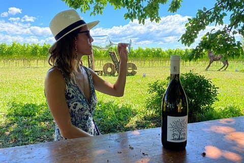 Family Winery Tour and Tasting in Grado