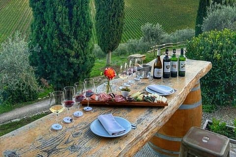 Wine Tasting in a Chianti winery