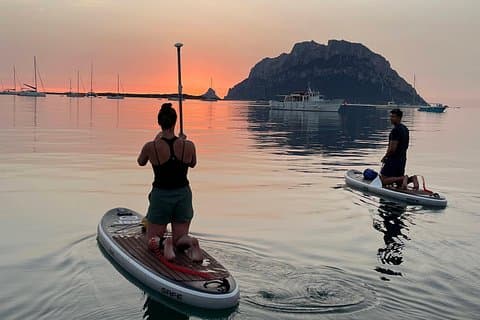 Dolphin-spotting SUP tour with Golfo Aranci aperitif