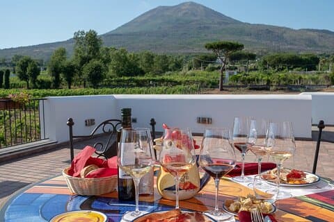 Pompeii Wine Tasting Experience, Vineyards Tour and Lunch