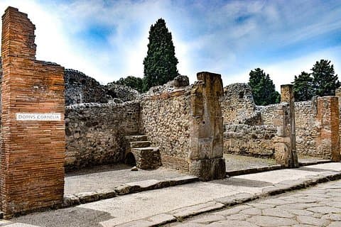 private and Guided Tour to Pompeii from Positano