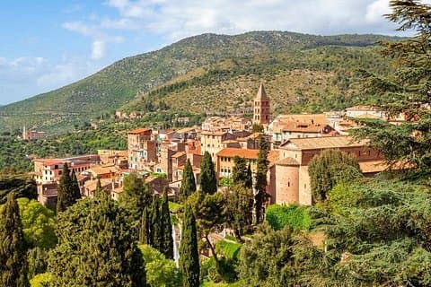 Wine Tasting: private tour from Rome