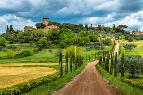 Half Day Escape to Chianti: Taste the Heart of Tuscany