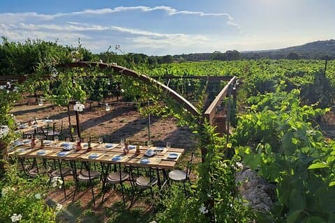 Tasting tables
