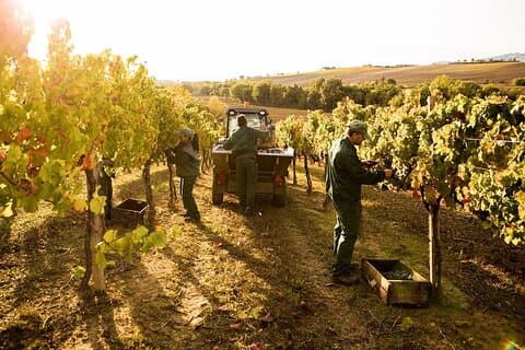 Exclusive Private Assisi & Sagrantino Wines Experience