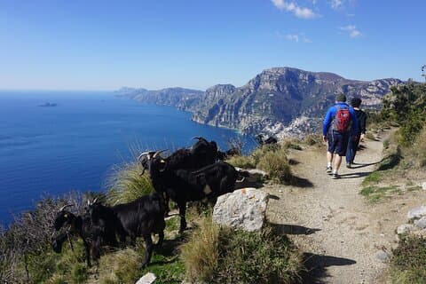 Path of Gods & Goats
