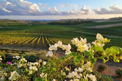 West Sicily Essentials: 3-Day Private Journey from Palermo