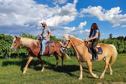 2 hours Horseback Ride in Lake Garda countryside