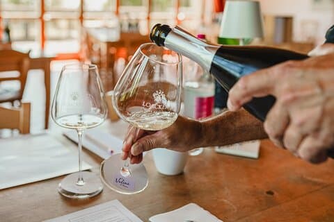 Winery tour & wine tasting in Montalcino