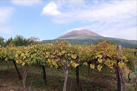 Top Excursions-Italy
Pompeii & Vesuvius SkipTheLine Lunch and WineTasting from Rome