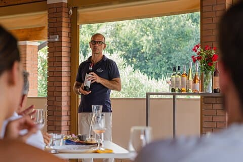 Bardolino: vineyard tour, wine, oil and food tasting