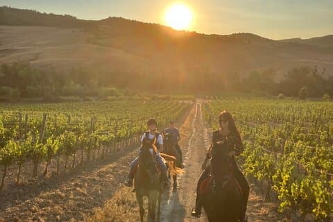 Horseback riding in the hills of Montepulciano in Tuscany