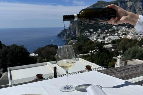 Small Group Capri Wine Tasting Experience with Sea View