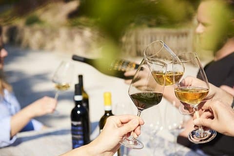 Discover the Euganean Hills Wine and Traditional Flavors