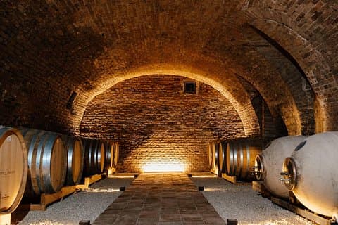 Aging cellar