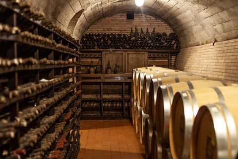 In the Heart of Chianti Classico : Wine, Winery and Tradition