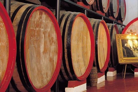 Reinforced Typical Food and Wine Tasting