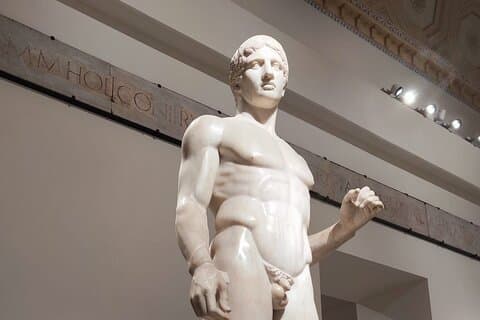 Private Tour of the Archaeological Museum of Naples