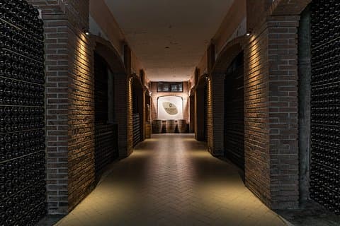 Brescia: Franciacorta Wine Tasting in a Historical Winery
