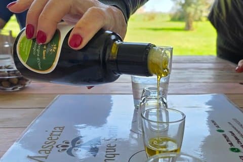 Lecce : Half day E-Bike tour, Artisan workshop & Olive Oil Taste