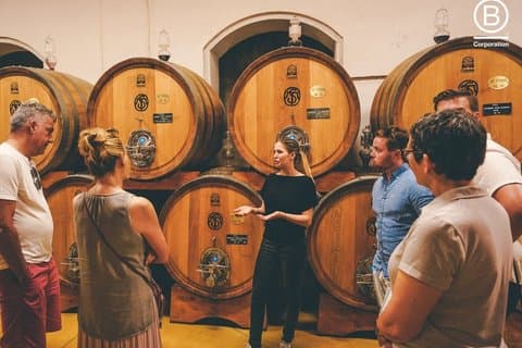 Amarone Wine Tasting Tour from Verona with Private Transportation