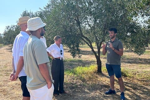 Authentic Sicily Family Olive Grove Tour & Oil & Wine Tasting