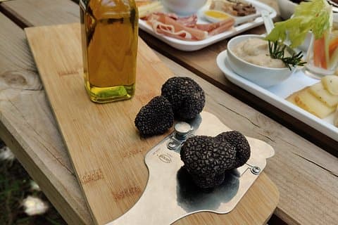 Truffle Hunting and Tasting of Local Products in Tuscany
