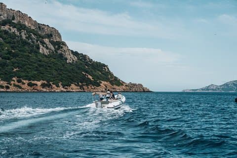 Golfo Aranci Dolphin Watching Tour at Sunset with Biologist