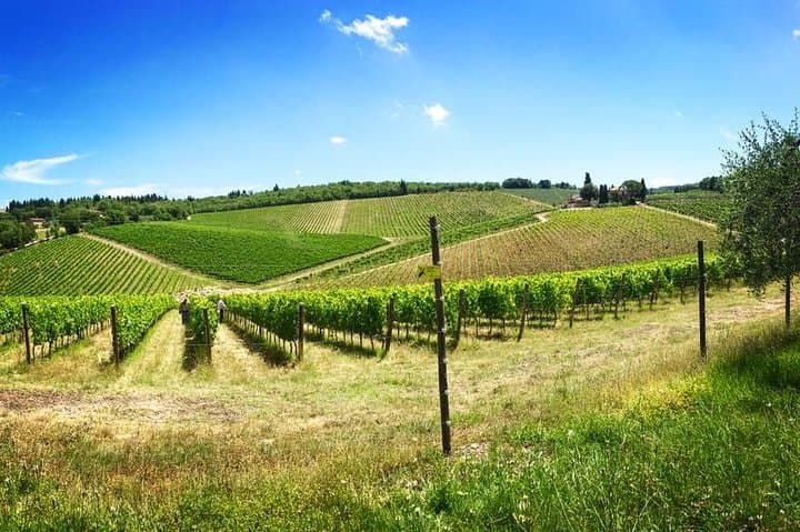 3-Day Tuscany Wine Tour Experience from Florence