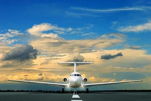 Private Departure Transfer: Civitavecchia Cruise Port to Fiumicino Airport