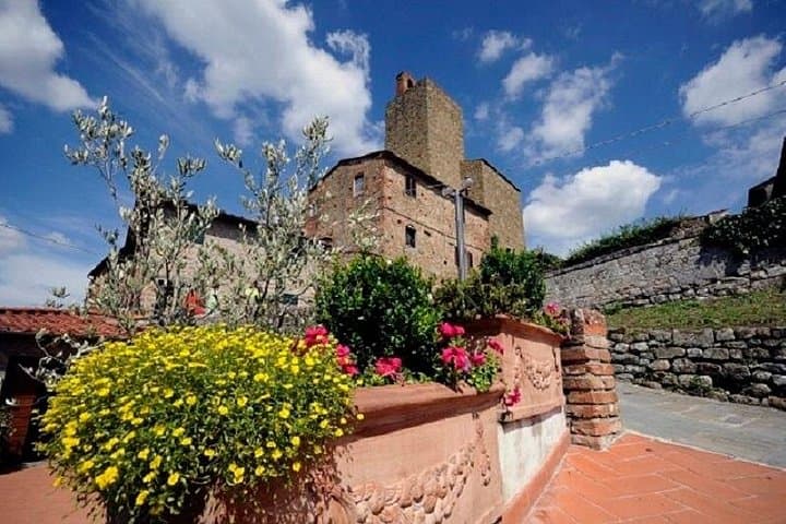 Chianti Wine and Vinci half day Small Group Tour from Montecatini Terme