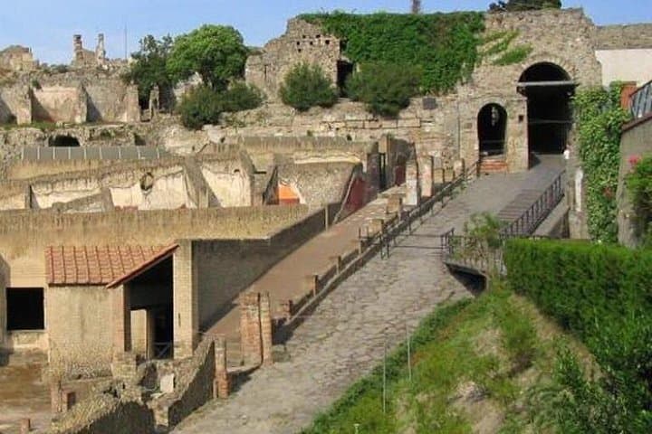 Explore Pompeii independently or with an expert guide on this private day trip