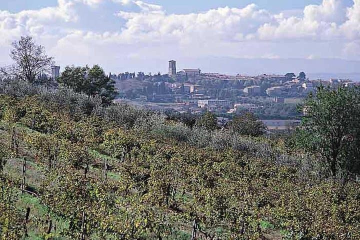 Umbria Wine and Olive Oil Tour with light lunch
