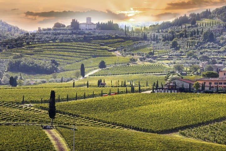 Chianti