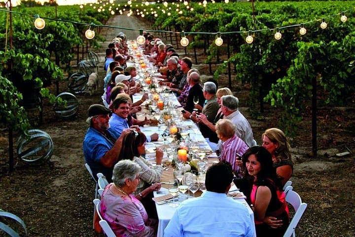 Tasting wine in the vineyard