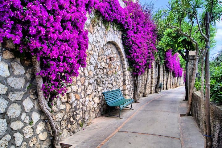 Capri alley