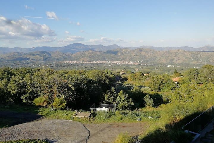View from the Winery
