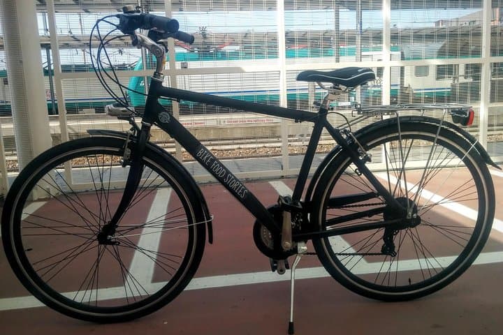 "normal" bike