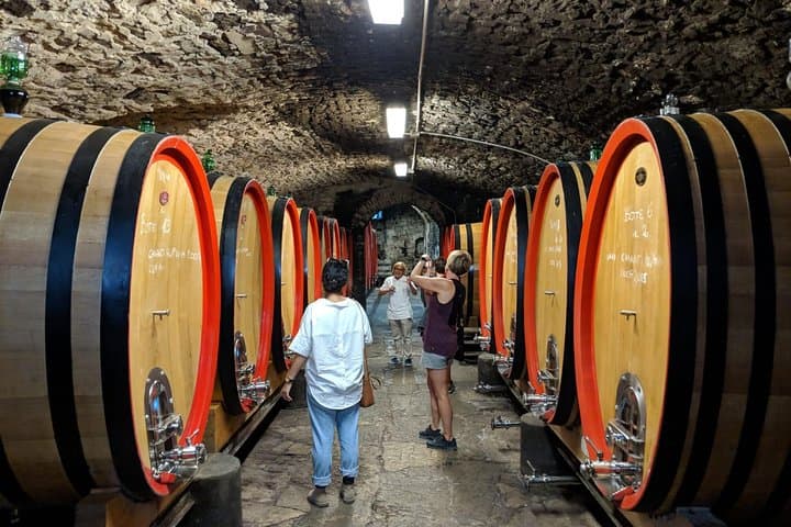 Wine Cellar