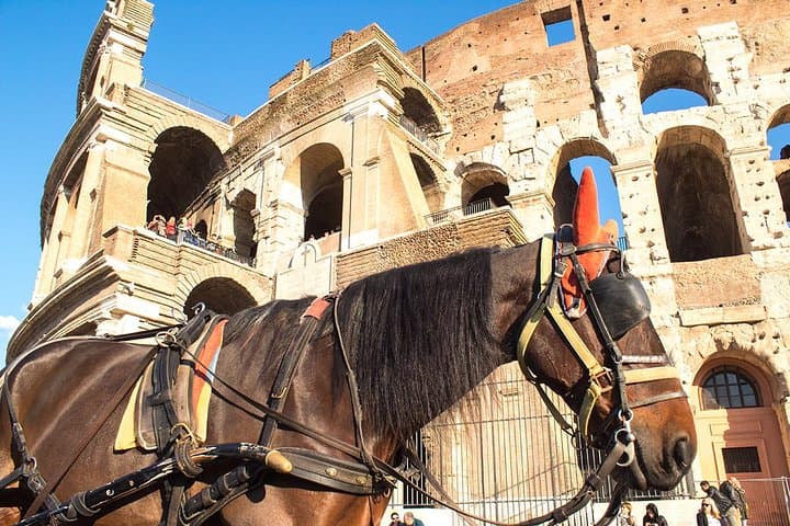 Colosseum Tour for Kids