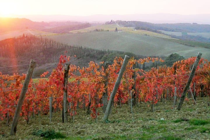 Sunset panorama