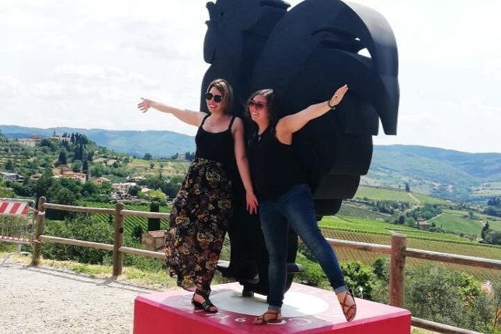 Safari in Chianti Open Top Van and Tasting Wine