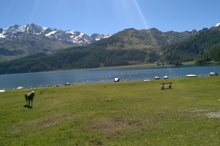 Private tour to Bernina train & Lake Como. Hotel pick-up