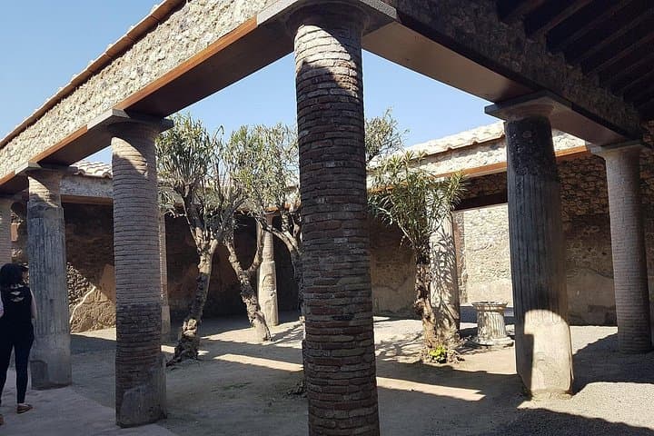 Pompeii and Naples from Rome: Small Group Day Tour with Lunch