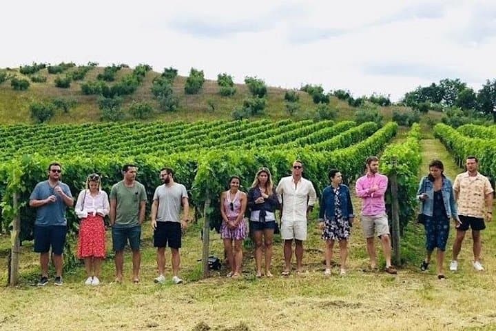 Cities, Cheese and Wine Tour in Pienza & Montepulciano