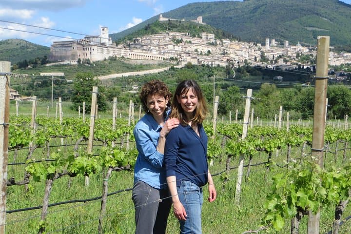 Rich aperitif 5 wines and walk in the vineyards