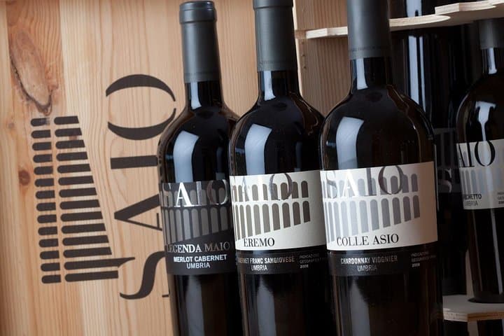 Rich aperitif 5 wines and walk in the vineyards