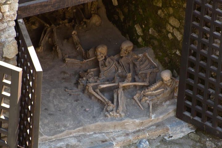 Private Day Tour: Herculaneum and Wine Tasting