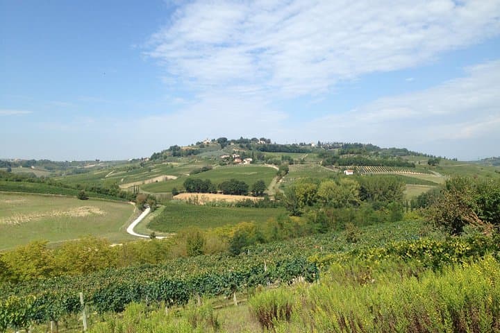 Florence and Wine Tasting Private Tour from Livorno