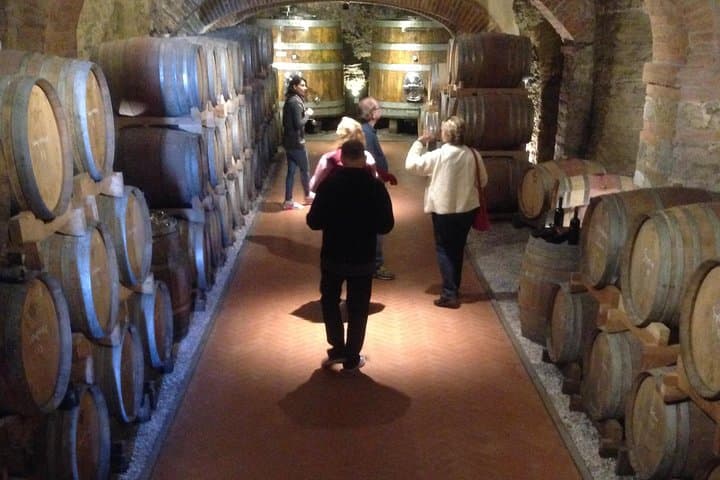 Florence and Wine Tasting Private Tour from Livorno